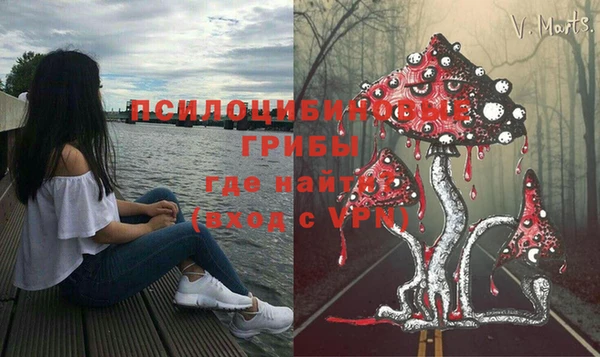 бутират Козельск