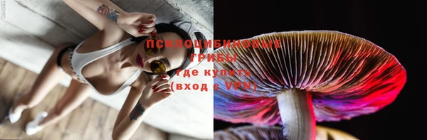 МДПВ Козловка
