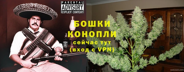 МДПВ Козловка