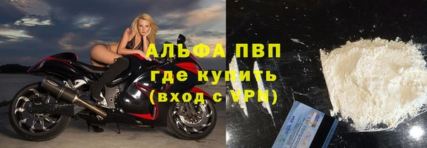 стафф Покачи